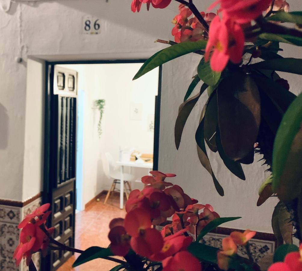 Casa Rural Dian - Centro Torrox تورّوكس كوستا المظهر الخارجي الصورة